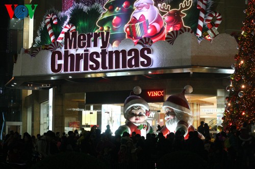 Christmas celebrated nationwide - ảnh 3